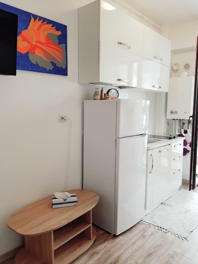 Sea View Studio Mamaia Luaran gambar